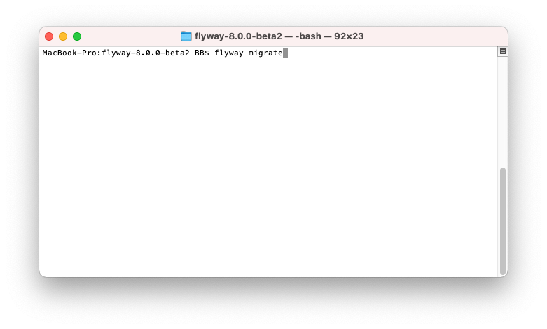 flyway image 12