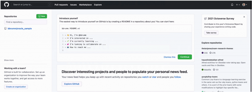github image 04
