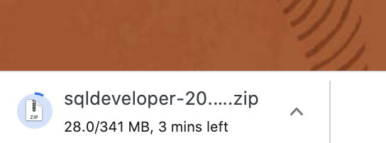 25 downloading