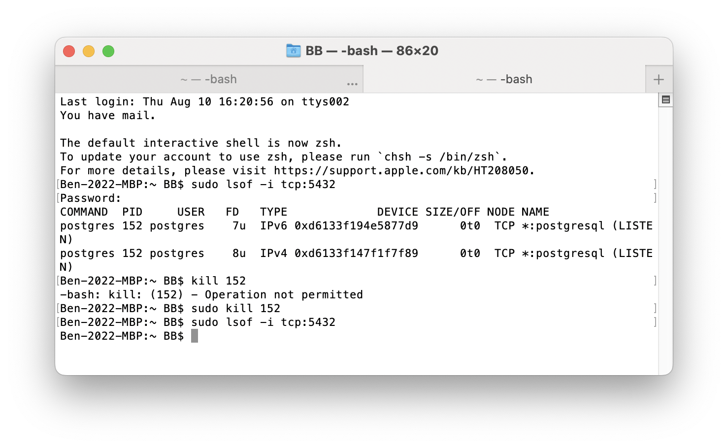 homebrew postgres 11