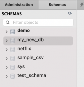 06 schema list