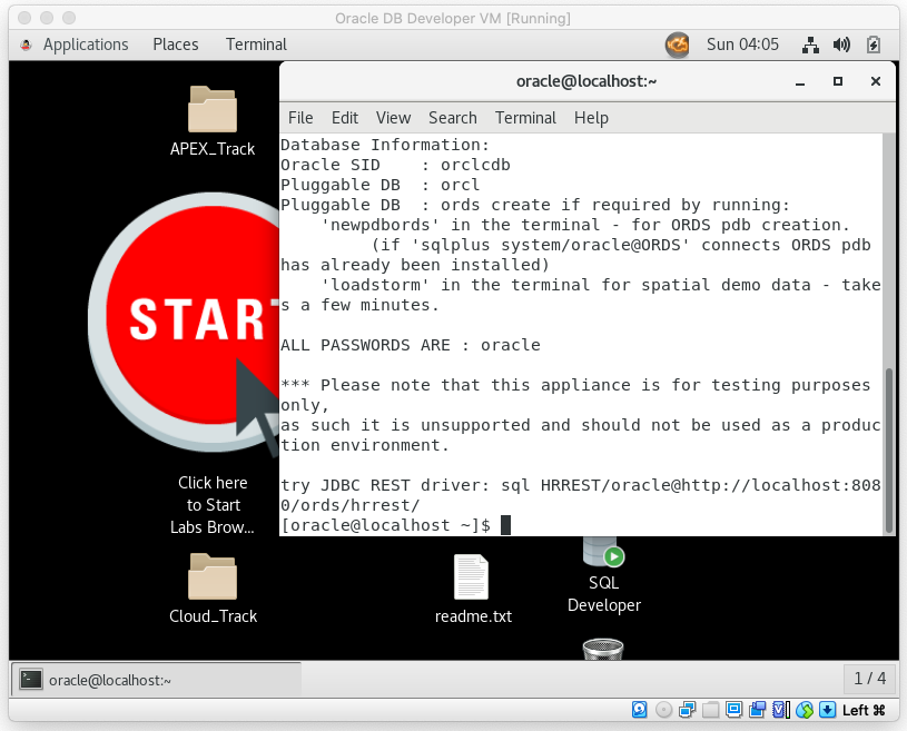 VirtualBox VM terminal