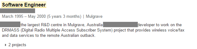 software engineer role