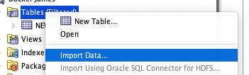 sql developer import 02
