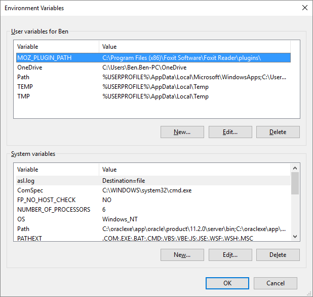 Windows environment variables