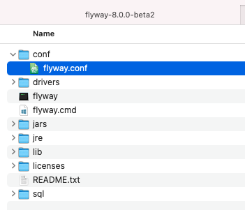 flyway image 07